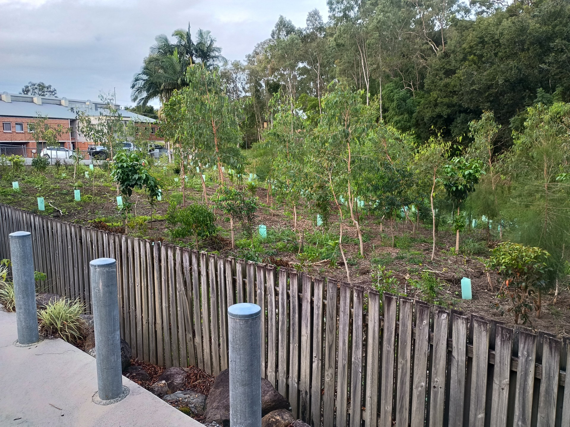 Petrie Catchment Care
