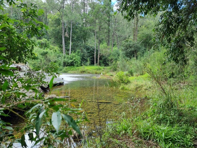 Lees Crossing Reserve Catchment Care